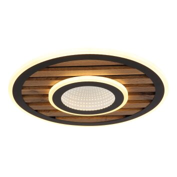 Lámparas Globo Lighting Woody Plafones LED Crudo, Negro, 1 luz