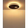 Lámparas Globo Lighting Woody Plafones LED Crudo, Negro, 1 luz