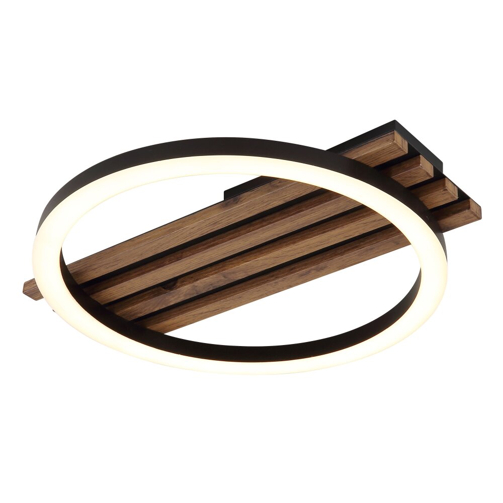 Lámparas Globo Lighting Tisha Plafones LED Crudo, Negro, 1 luz main product photo