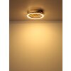 Lámparas Globo Lighting Tisha Plafones LED Crudo, Negro, 1 luz