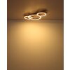 Lámparas Globo Lighting Tisha Plafones LED Crudo, Negro, 1 luz