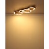 Lámparas Globo Lighting Tisha Plafones LED Crudo, Negro, 1 luz