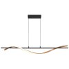Lámparas Globo Lighting Watkins Lámparas suspendidas LED Negro, 1 luz