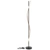 Lámparas Globo Lighting Watkins Lámpara de pie LED Negro, 1 luz