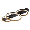Lámparas Globo Lighting Dakari Plafones LED Negro, 1 luz