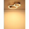 Lámparas Globo Lighting Dakari Plafones LED Negro, 1 luz