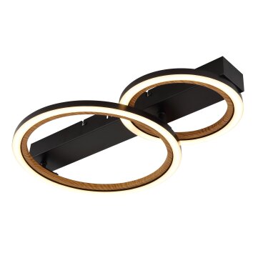 Lámparas Globo Lighting Dakari Plafones LED Negro, 1 luz