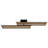 Lámparas Globo Lighting Dakari Plafones LED Negro, 1 luz