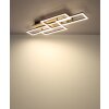Lámparas Globo Lighting Jeffry Plafones LED Crudo, Negro, 1 luz, Mando a distancia