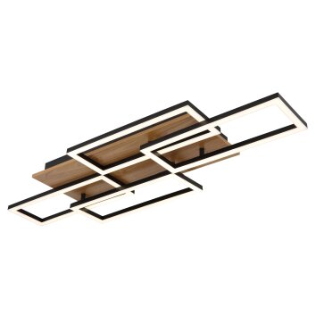 Lámparas Globo Lighting Jeffry Plafones LED Crudo, Negro, 1 luz, Mando a distancia