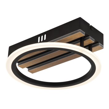 Lámparas Globo Lighting Blevins Plafones LED Crudo, Negro, 1 luz