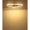 Lámparas Globo Lighting Tisha Plafones LED Marrón, Negro, 1 luz