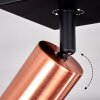 Tulla Lámpara de Techo Cobre, Negro, 3 luces