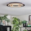 Lidor Plafones LED Negro, 1 luz