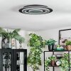 Lidor Plafones LED Negro, 1 luz