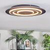 Lidor Plafones LED Negro, 1 luz