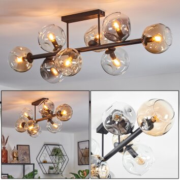 Ripoll Plafones, Luminarias esféricas Colores ámbar, Transparente, Ahumado, 8 luces Ripoll Plafones, Luminarias esféricas Colores ámbar, Transparente, Ahumado, 8 luces