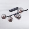 Chehalis Plafones, Luminarias esféricas Ahumado, 5 luces