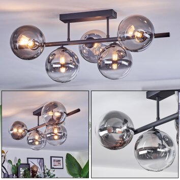 Chehalis Plafones, Luminarias esféricas Transparente, Ahumado, 5 luces