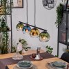 Koyoto Lámparas suspendidas, Luminarias esféricas, Lámparas colgantes Azul, dorado, Verde, Transparente, 4 luces