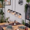 Gastor Lámparas suspendidas, Luminarias esféricas, Lámparas colgantes Colores ámbar, Transparente, Ahumado, 5 luces