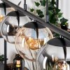 Gastor Lámparas suspendidas, Luminarias esféricas, Lámparas colgantes Colores ámbar, Transparente, Ahumado, 5 luces