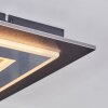 Lidor Plafones LED Negro, 1 luz