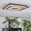 Lidor Plafones LED Negro, 1 luz