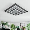 Lidor Plafones LED Negro, 1 luz