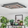 Lidor Plafones LED Negro, 1 luz