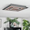 Lidor Plafones LED Negro, 1 luz