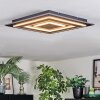 Lidor Plafones LED Negro, 1 luz