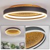 Guine Plafones LED dorado, Negro, 1 luz