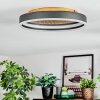 Guine Plafones LED dorado, Negro, 1 luz