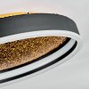 Guine Plafones LED dorado, Negro, 1 luz