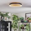 Guine Plafones LED dorado, Negro, 1 luz
