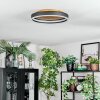 Guine Plafones LED dorado, Negro, 1 luz