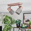 Medelim Plafones, Spot techo Bronce, 2 luces