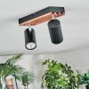 Orlan Plafones, Spot techo Cromo, Crudo, Negro, 2 luces