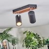 Orlan Plafones, Spot techo Cromo, Crudo, Negro, 2 luces