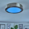 Omaro Plafones, Panel LED Níquel-mate, 1 luz, Cambia de color