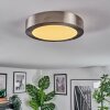 Omaro Plafones, Panel LED Níquel-mate, 1 luz