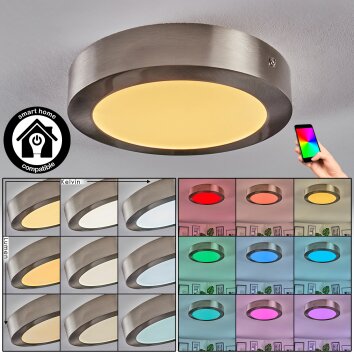 Omaro Plafones, Panel LED Níquel-mate, 1 luz