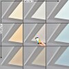 Omaro Plafones, Panel LED Blanca, 1 luz, Cambia de color