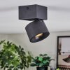Narel Plafones, Spot techo LED Negro, 1 luz