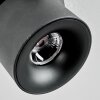 Narel Plafones, Spot techo LED Negro, 1 luz