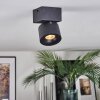 Narel Plafones, Spot techo LED Negro, 1 luz
