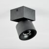 Narel Plafones, Spot techo LED Negro, 1 luz