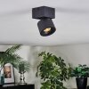 Narel Plafones, Spot techo LED Negro, 1 luz