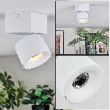 Narel Plafones, Spot techo LED Blanca, 1 luz